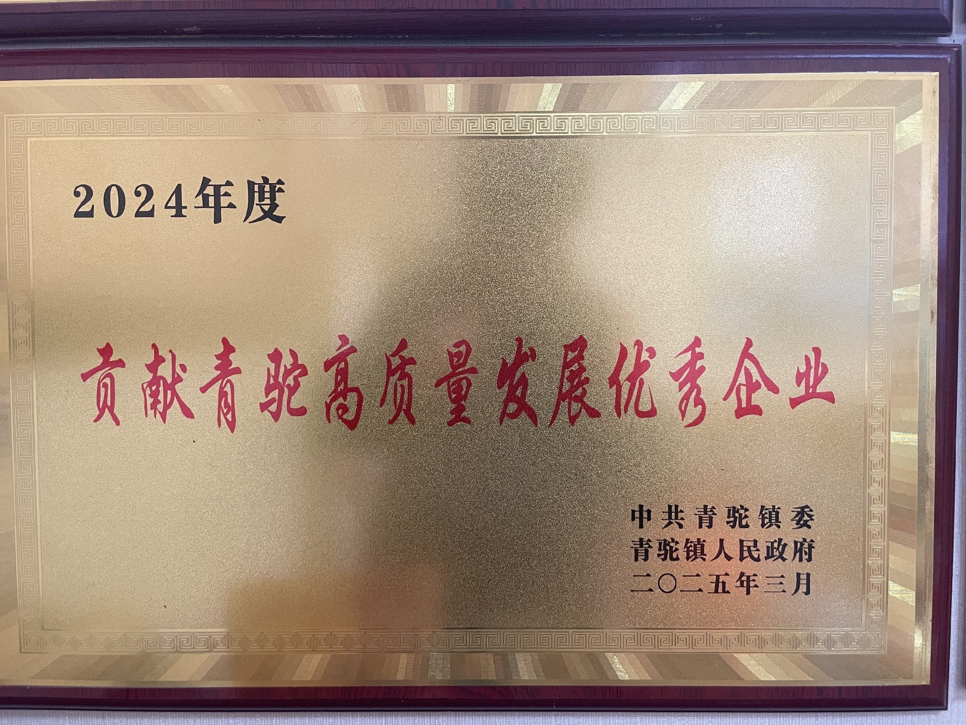 2024年度貢獻(xiàn)青駝高質(zhì)量發(fā)展優(yōu)秀企業(yè)