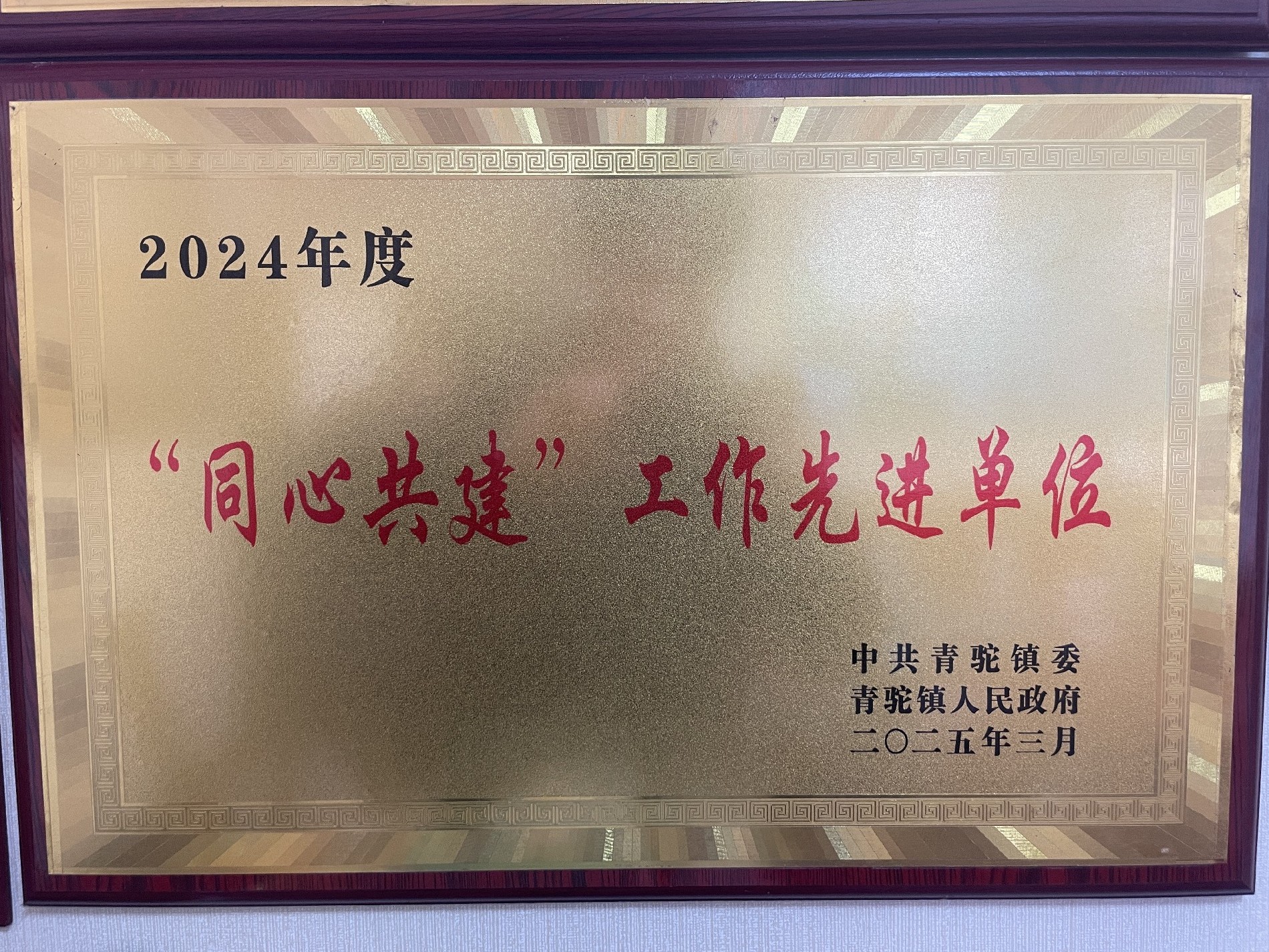 2024年度“同心共建”工作先進(jìn)單位